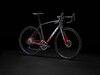 Trek Domane AL 5 49 Lithium Grey to Crimson Fade