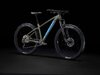 Trek Roscoe 6 M Olive Grey/Waterloo Blue