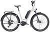 Diamant Zing Trip Core LS S Baumwollweiss Metallic 800Wh