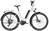 Diamant Zing Trip Core LS L Baumwollweiss Metallic 400Wh