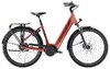 Trek District+ 4 LS Coaster XS Pennyflake 725WH